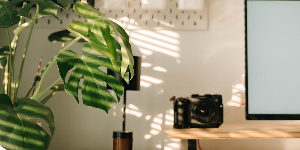 A close-up shot of a person using a laptop with Smartlead's interface displayed on the screen. The background features a cozy home office setup with plants and motivational quotes on the wall, creating a productive atmosphere.
