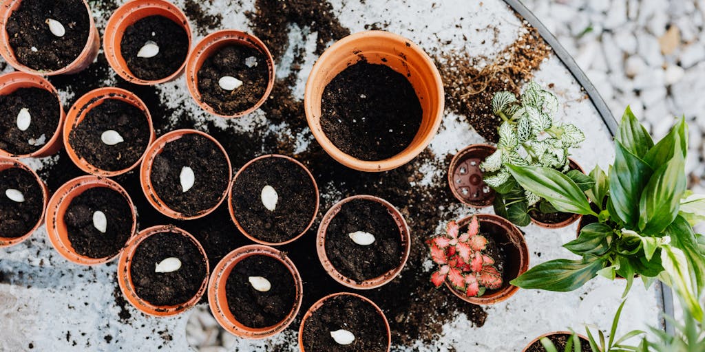 A whimsical scene where a robot is planting seeds in a garden bed, with each seed labeled with a different pricing plan. The robot is smiling, and the garden is lush and colorful, representing the fruitful outcomes of choosing the right pricing.