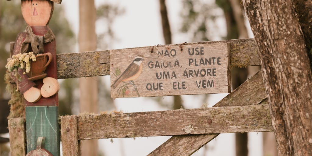 A close-up shot of a woodpecker pecking at a wooden sign that has 'Email Pricing' carved into it. The sign is surrounded by colorful flowers and greenery, creating a lively and inviting atmosphere. The focus is on the woodpecker's beak making contact with the sign, symbolizing the idea of 'digging into' pricing details.